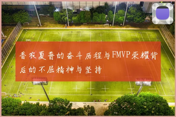 香农夏普的奋斗历程与FMVP荣耀背后的不屈精神与坚持